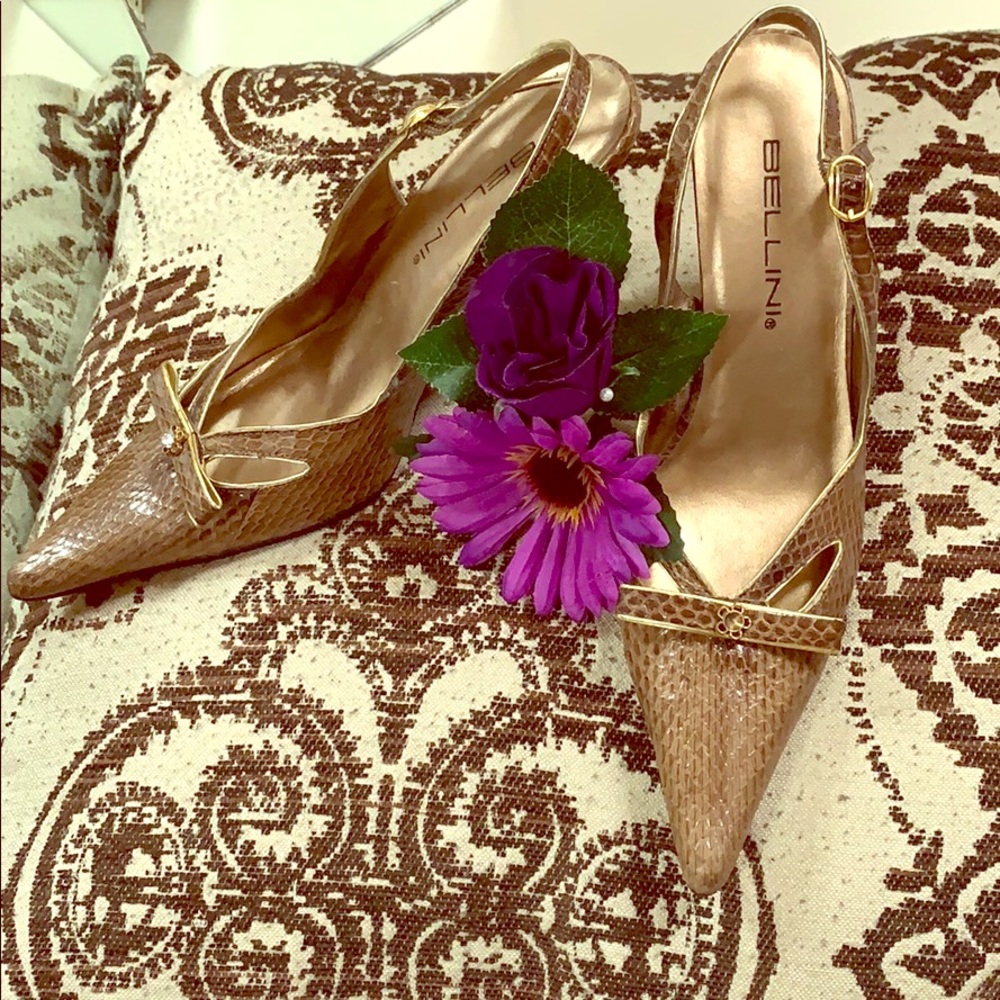 Beautiful Shoes